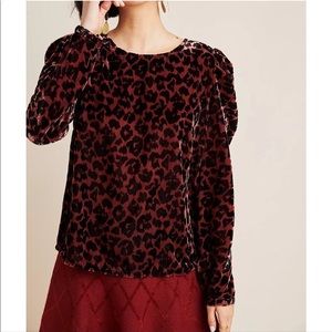 Anthropologie Sz M Velvet Puff Sleeve Blouse by Dolan EUC